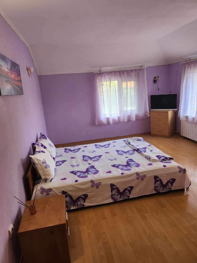 Guest House Iveta German Eksteriør billede